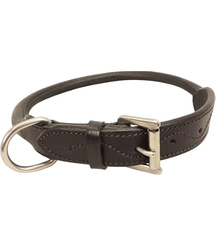 Amazon.com : Coastal Pet Circle T Latigo Leather Round Dog Collar
